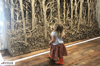 Ausstellungen Bern 2025